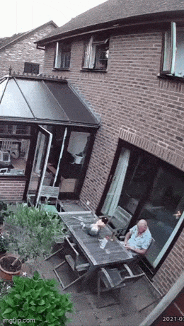Acid GIFs, September 21 (25 gifs) Acid GIFs, September 21 (25 gifs)