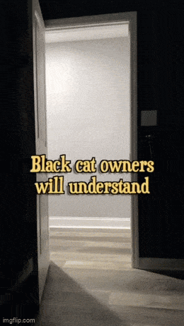 Acid GIFs, September 21 (25 gifs) Acid GIFs, September 21 (25 gifs)