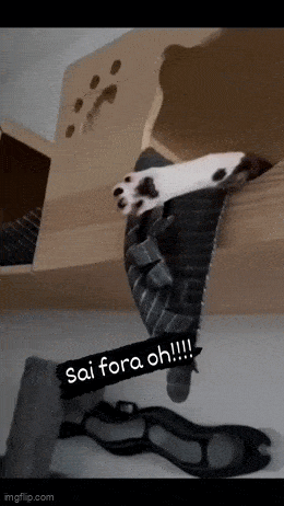 Acid GIFs, September 21 (25 gifs) Acid GIFs, September 21 (25 gifs)