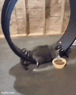 Acid GIFs, September 21 (25 gifs) Acid GIFs, September 21 (25 gifs)