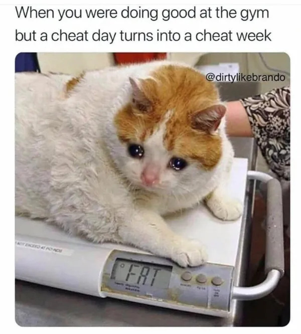 Funny Memes (25 pics) Funny Memes (25 pics)