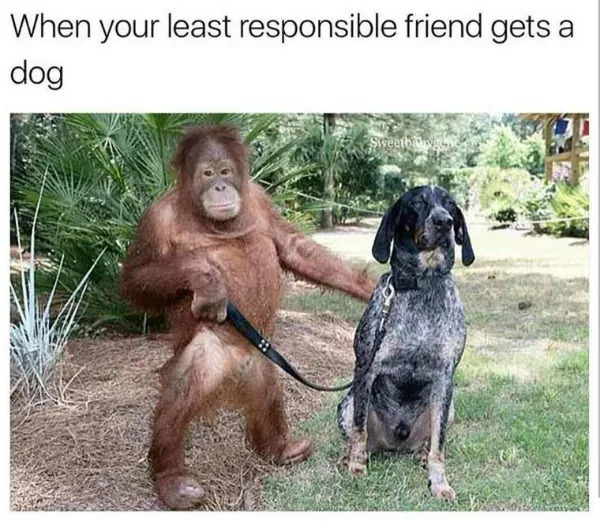 Funny Memes (25 pics) Funny Memes (25 pics)