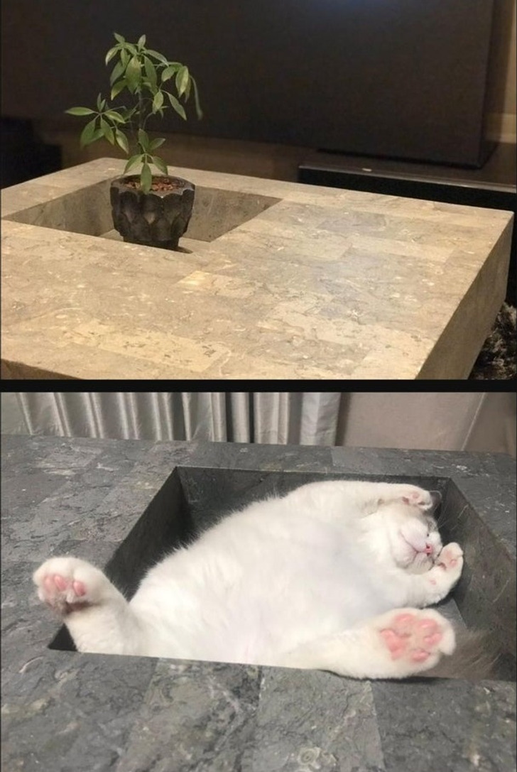 Expectations Against Reality (21 pics)
