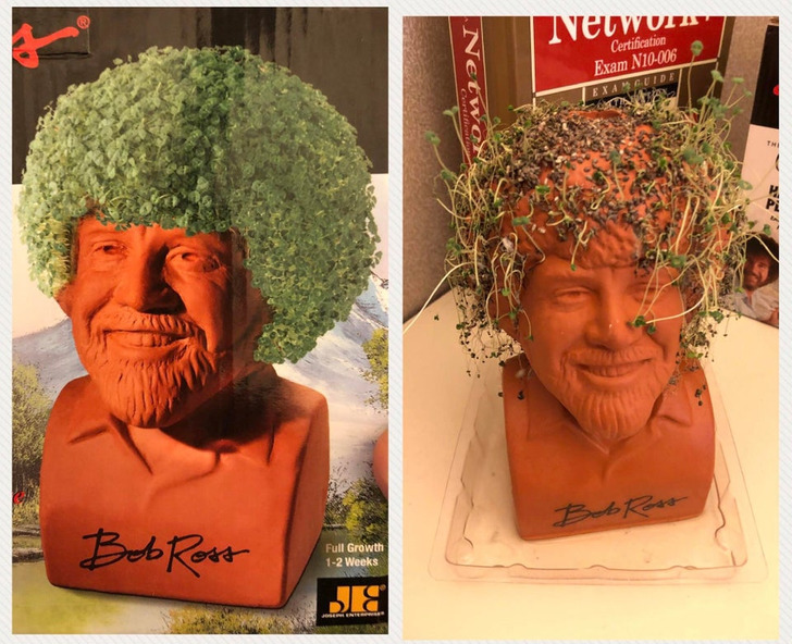 Expectations Against Reality (21 pics)