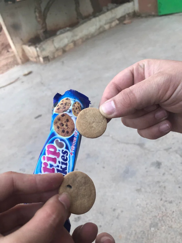 Expectations Against Reality (21 pics)