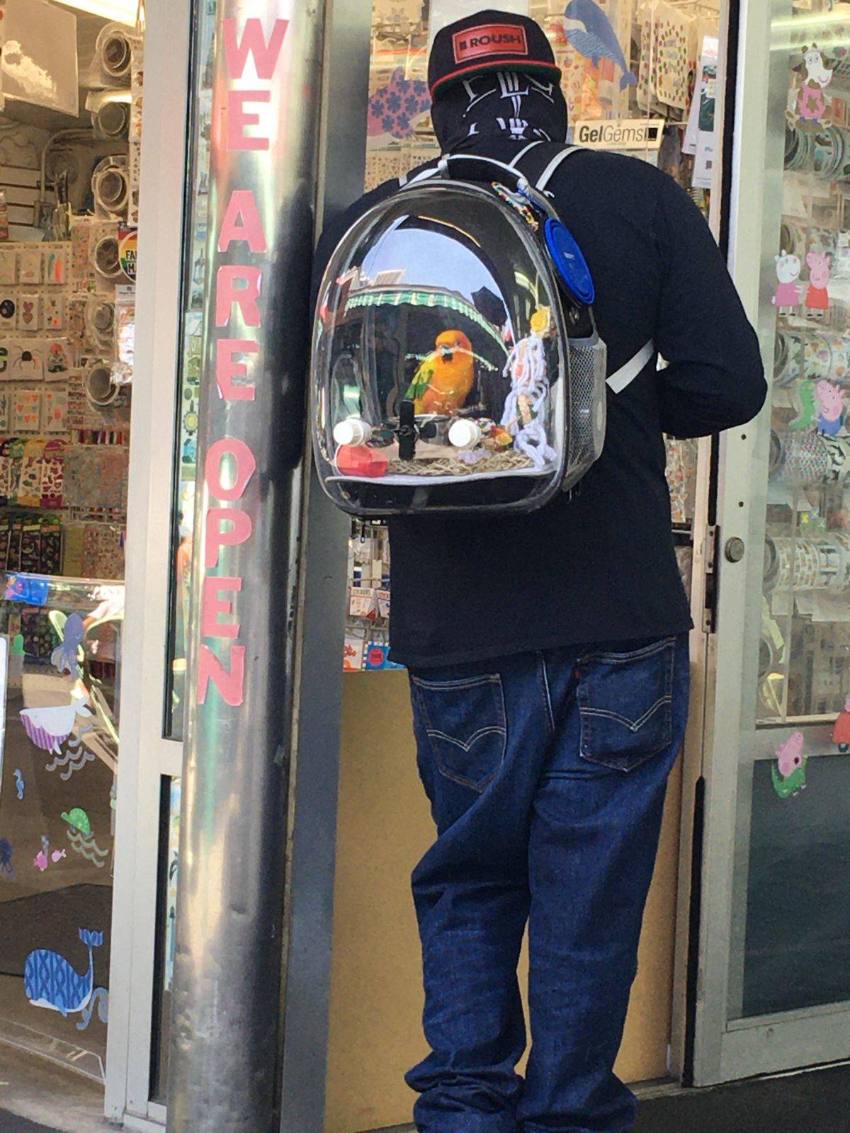 Daily Pictures. Part 1 (83 pics)