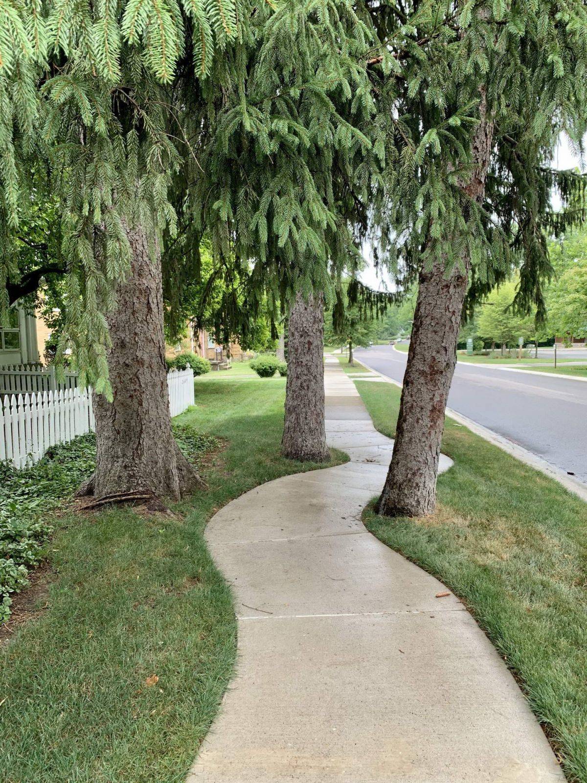 Daily Pictures. Part 1 (83 pics)
