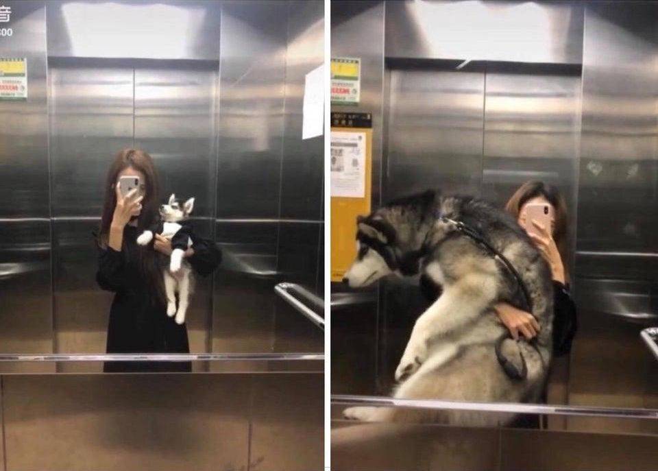 Daily Pictures. Part 1 (83 pics)