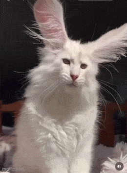 Acid GIFs, September 22 (25 gifs)