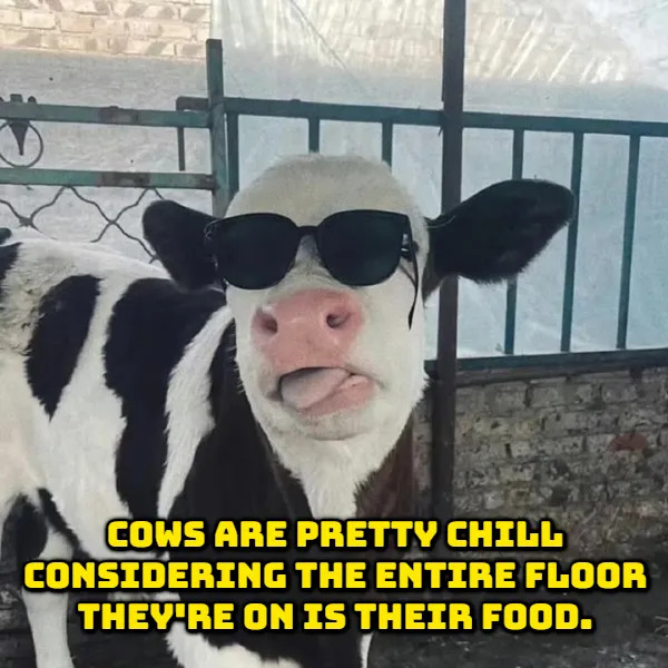 Weird Thoughts (17 pics)