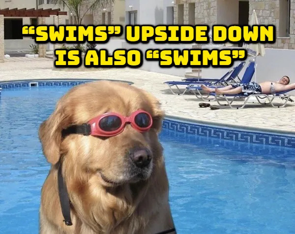Weird Thoughts (17 pics)