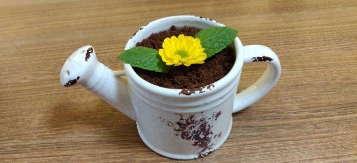 Crazy Food Serving (17 pics)