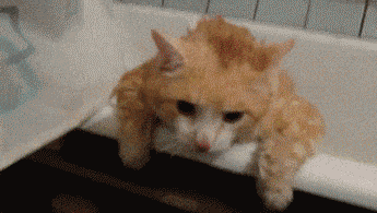 Acid GIFs, September 23 (25 gifs) Acid GIFs, September 23 (25 gifs)