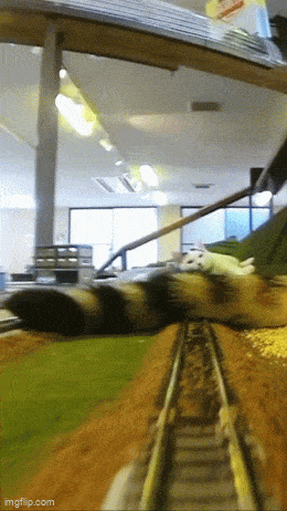 Acid GIFs, September 23 (25 gifs) Acid GIFs, September 23 (25 gifs)