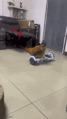 Acid GIFs, September 23 (25 gifs) Acid GIFs, September 23 (25 gifs)