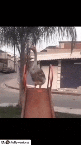 Acid GIFs, September 23 (25 gifs) Acid GIFs, September 23 (25 gifs)