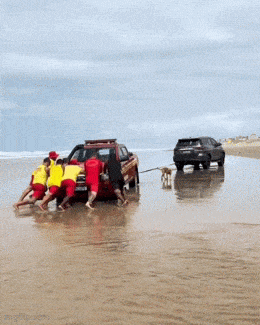 Acid GIFs, September 23 (25 gifs) Acid GIFs, September 23 (25 gifs)