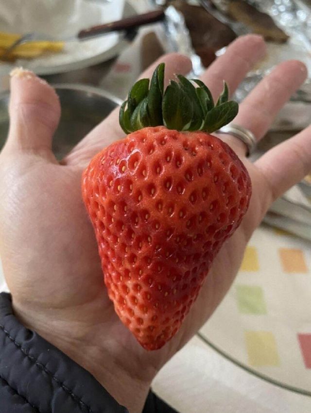 Giant Things (17 pics) Giant Things (17 pics)