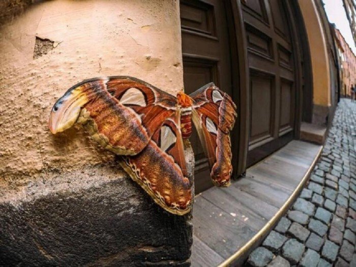 Giant Things (17 pics) Giant Things (17 pics)