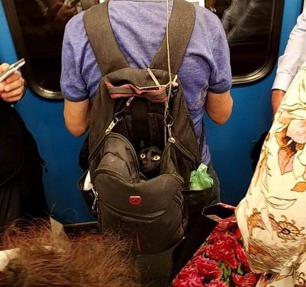 Daily Pictures. Part 1 (77 pics)