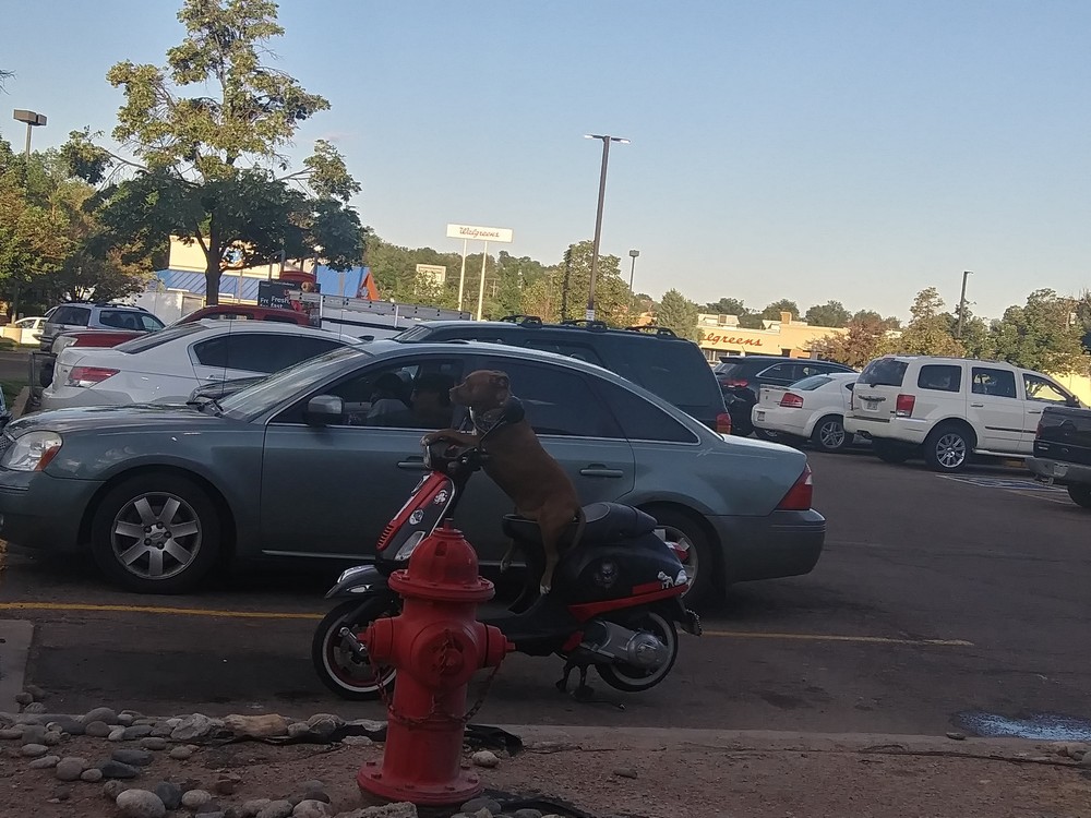 Daily Pictures. Part 2 (76 pics)