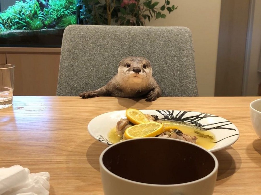 Daily Pictures. Part 2 (76 pics)