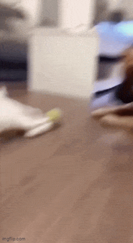 Acid GIFs, September 24 (25 gifs) Acid GIFs, September 24 (25 gifs)