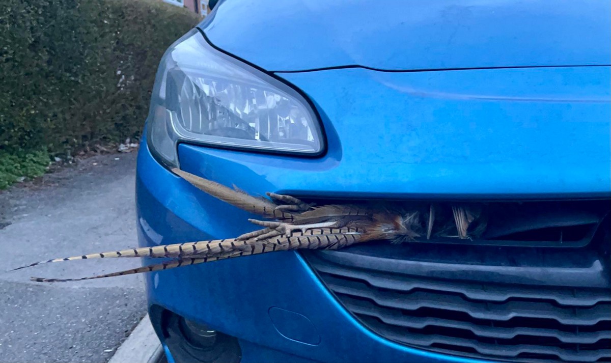 Unfortunate Situations (23 pics)