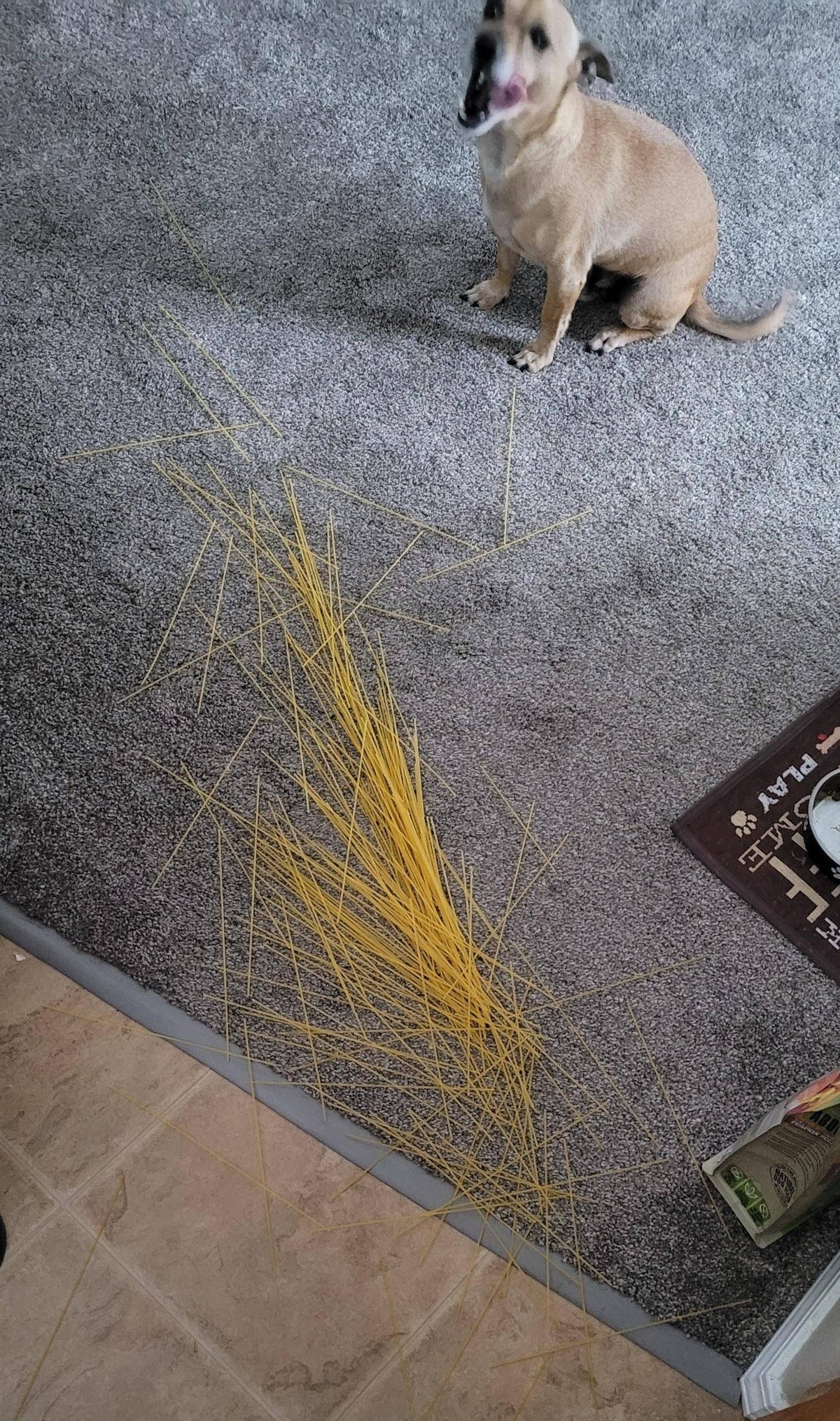 Unfortunate Situations (23 pics)