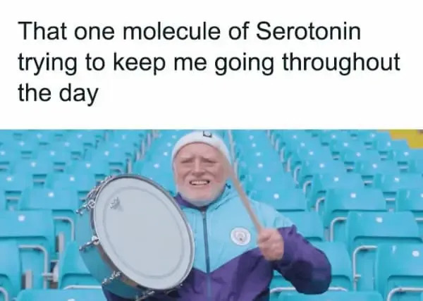 Funny Memes (21 pics) Funny Memes (21 pics)