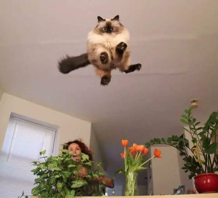 Right Moment (19 pics)