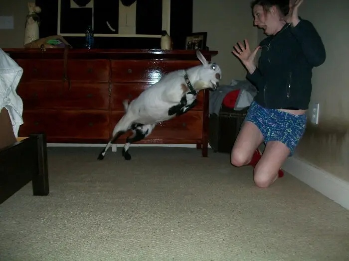 Right Moment (19 pics)