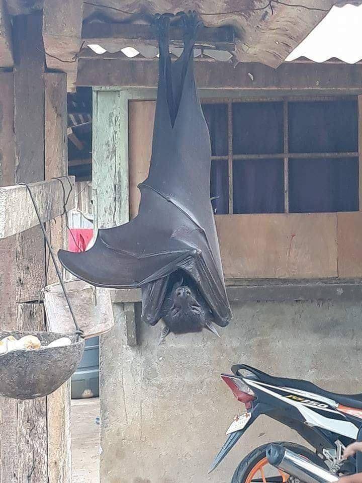Daily Pictures. Part 1 (76 pics)