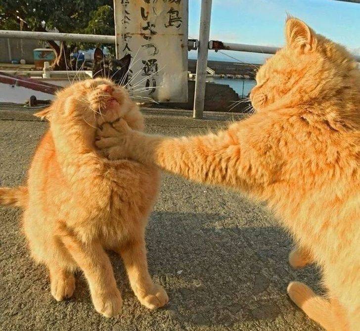 Daily Pictures. Part 1 (76 pics)
