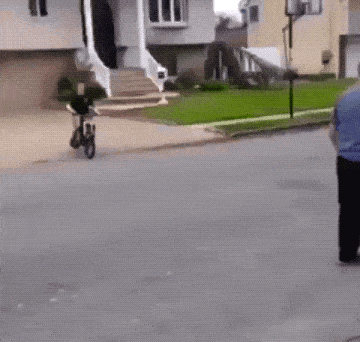 Acid GIFs, September 28 (25 gifs)
