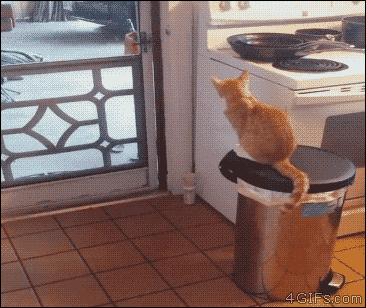 1790326796_26.gif