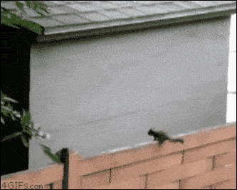 Acid GIFs, September 28 (25 gifs)