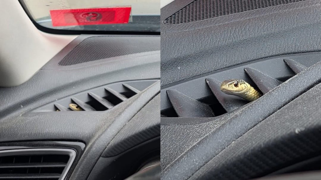 Annoying Situations (18 pics)