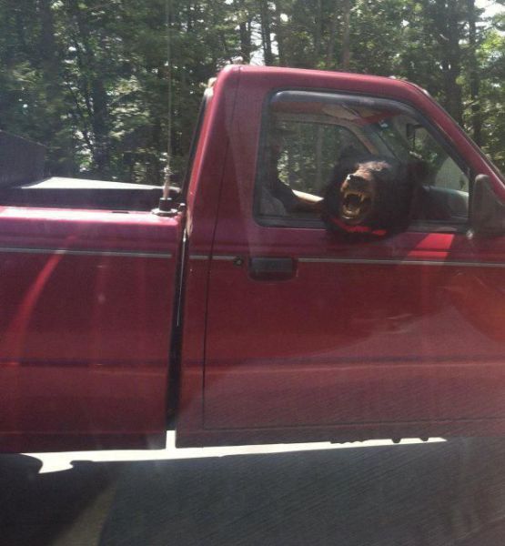 Daily Pictures. Part 1 (78 pics) Daily Pictures. Part 1 (78 pics)