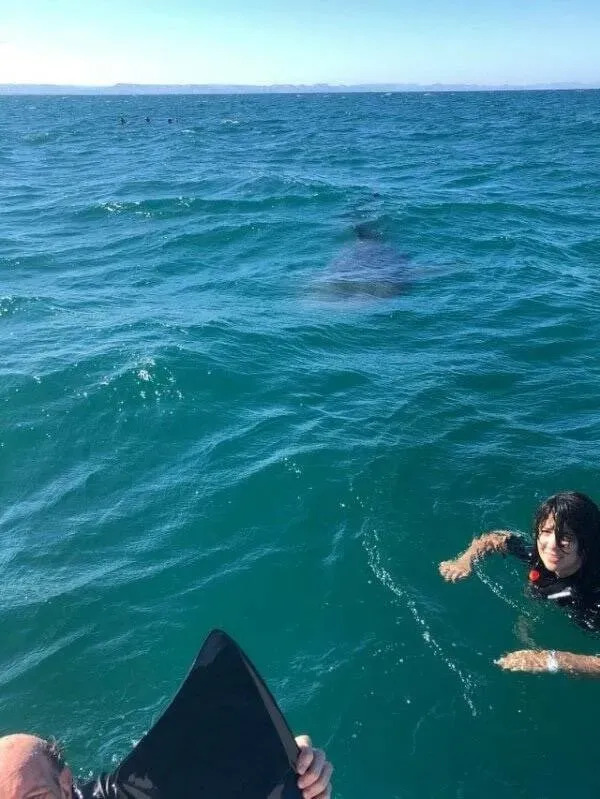 Creepy Photos (21 pics) Creepy Photos (21 pics)