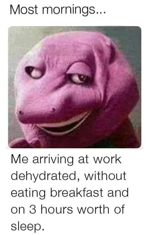 Work Memes (25 pics)
