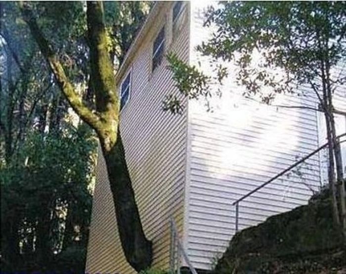 Construction Fails (25 pics) Construction Fails (25 pics)