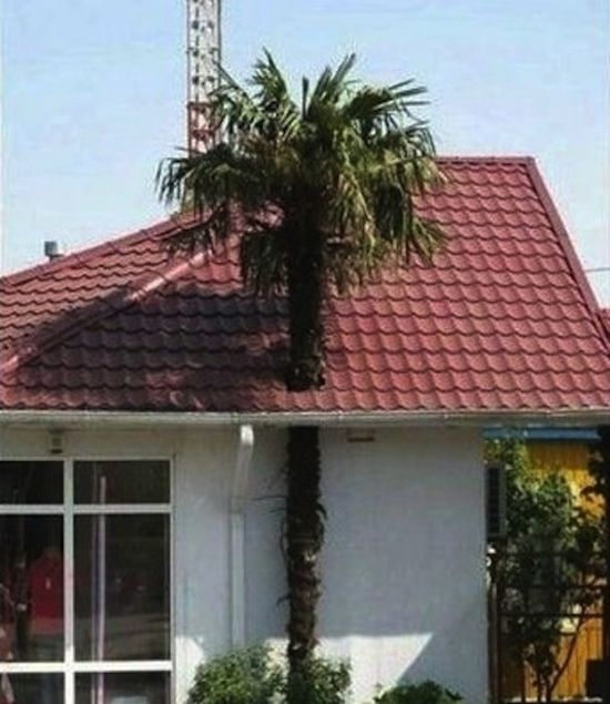 Construction Fails (25 pics) Construction Fails (25 pics)