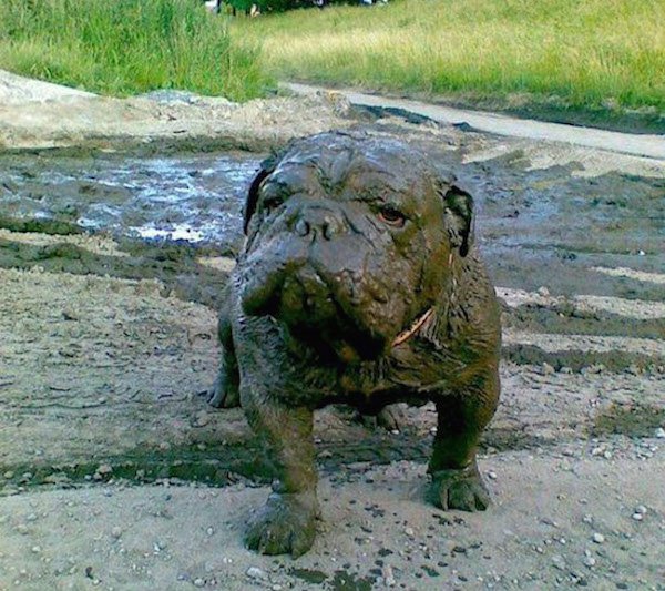 Bad Days Happen (19 pics) Bad Days Happen (19 pics)