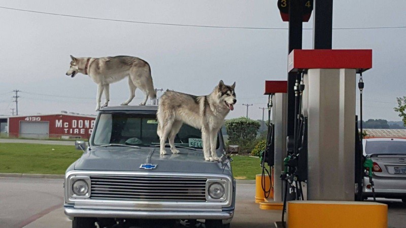 Bad Days Happen (19 pics) Bad Days Happen (19 pics)