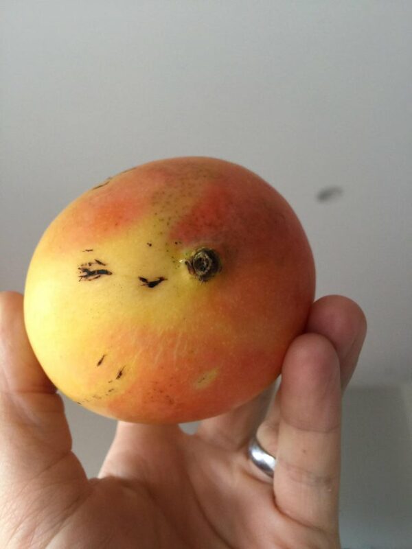 This Is Pareidolia (21 pics) This Is Pareidolia (21 pics)
