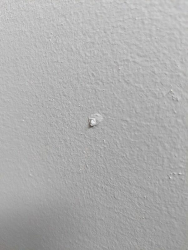 This Is Pareidolia (21 pics) This Is Pareidolia (21 pics)