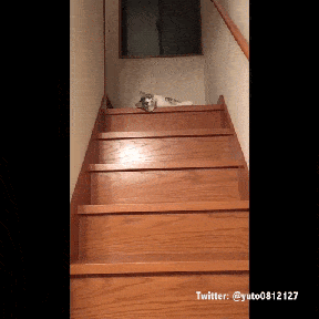 Acid GIFs, September 30 (25 gifs)