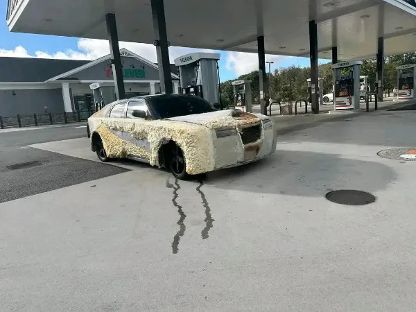 Crazy Cars (25 pics) Crazy Cars (25 pics)