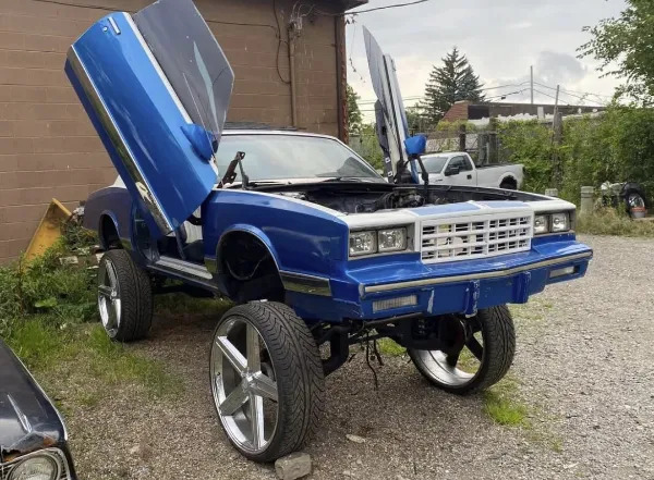 Crazy Cars (25 pics) Crazy Cars (25 pics)